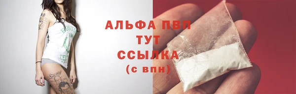 дурь Пестово