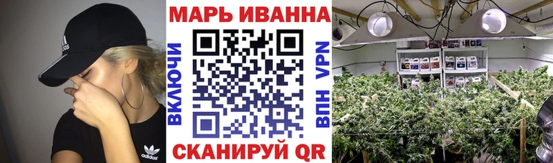 Канабис White Widow  Абаза 